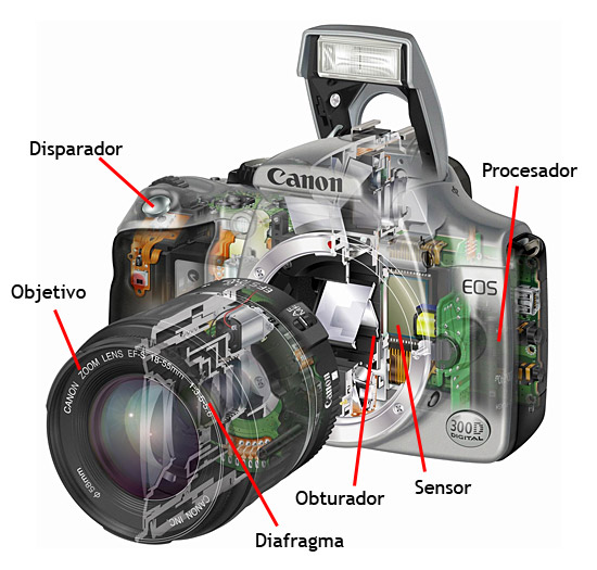 1.03 – Qué es una cámara de fotos - Curso de fotografía digital TheWebfoto